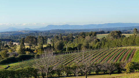 Grapevines Boutique Accommodation - Dalby Accommodation 21