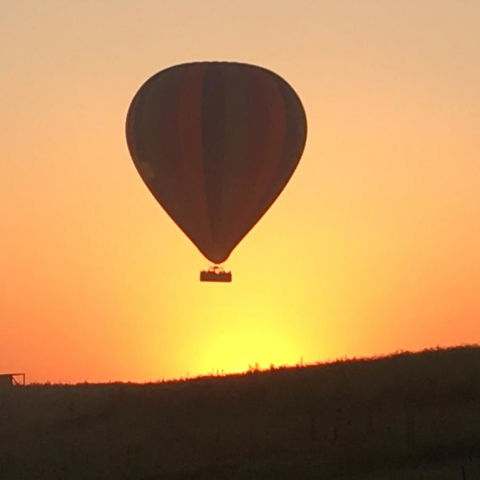 Grapevines Boutique Accommodation - Dalby Accommodation 13