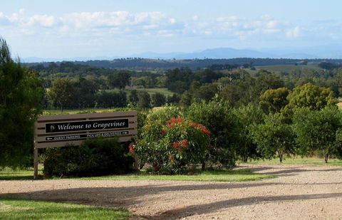 Grapevines Boutique Accommodation - Dalby Accommodation 15