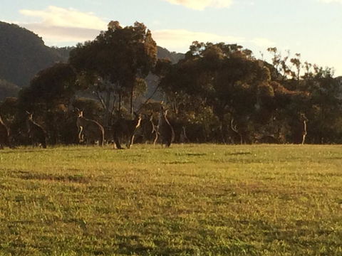 Grapevines Boutique Accommodation - Dalby Accommodation 26