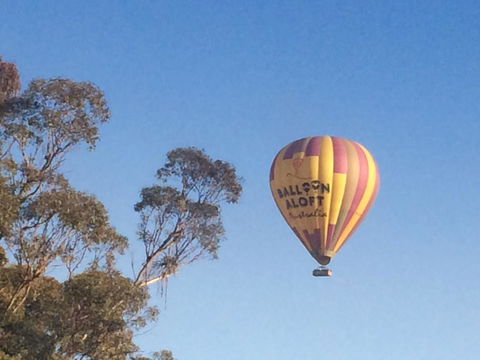 Grapevines Boutique Accommodation - Dalby Accommodation 12