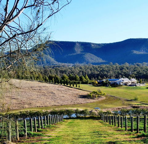 Grapevines Boutique Accommodation - Dalby Accommodation 5