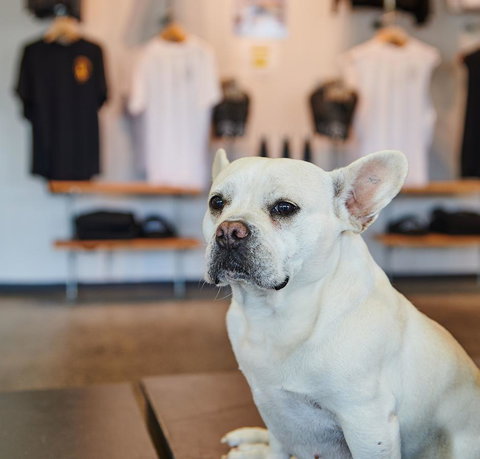 Nomads Byron Bay Backpackers - Dalby Accommodation 24