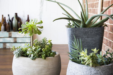 The Parkview Hotel Mudgee - Dalby Accommodation 35