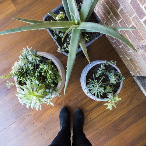 The Parkview Hotel Mudgee - Dalby Accommodation 33