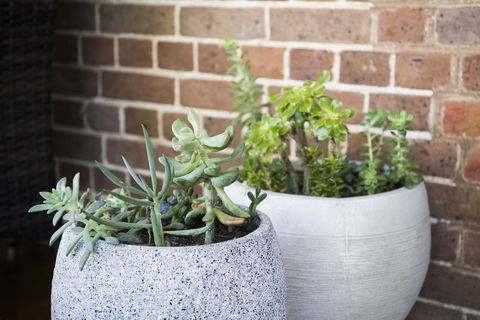 The Parkview Hotel Mudgee - Dalby Accommodation 34