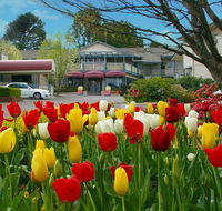 Nesuto Leura Gardens formerly Waldorf Leura Gardens Resort - Dalby Accommodation