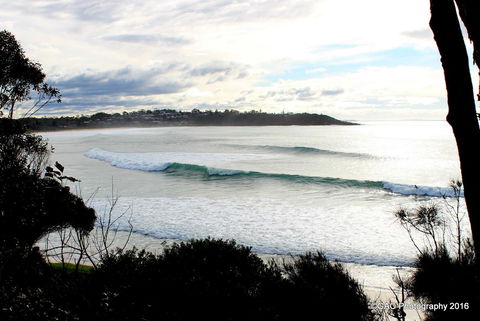Mollymook Cove Apartments - Dalby Accommodation 2