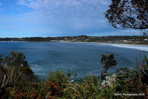 Mollymook Cove Apartments - Dalby Accommodation 1