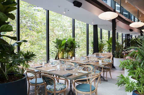 Vibe Hotel North Sydney - Dalby Accommodation 4