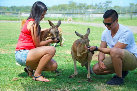 On The Beach Getaway - Dalby Accommodation 25