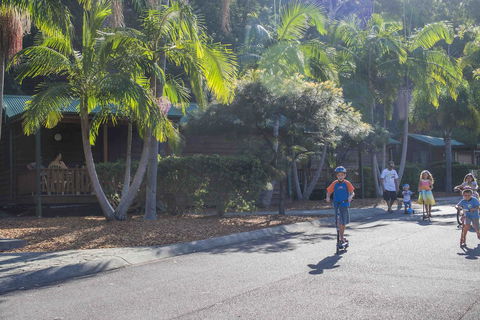 The Palms At Avoca - Dalby Accommodation 14