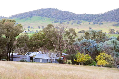 Stay In Mudgee The Grove, The Church, And Premium Private Homestead - Dalby Accommodation 38