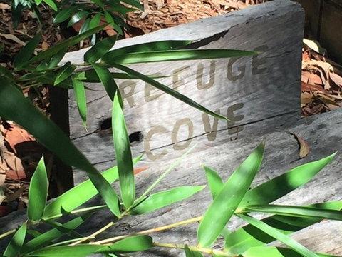 Refuge Cove On Pittwater - Dalby Accommodation 12