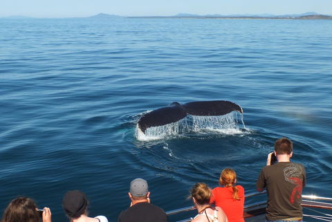 Pacific Marina Apartments - Dalby Accommodation 34