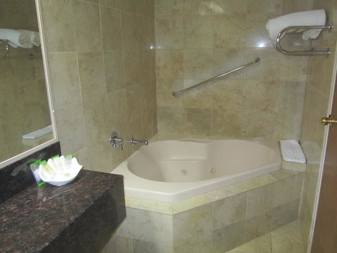 Best Western Plus Goulburn - Dalby Accommodation 29