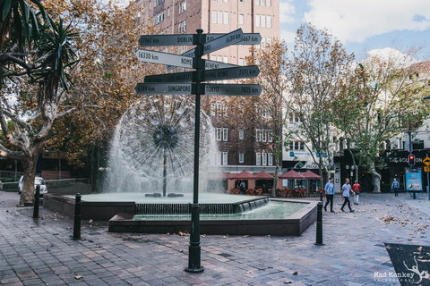 Mad Monkey Kings Cross - Dalby Accommodation 2