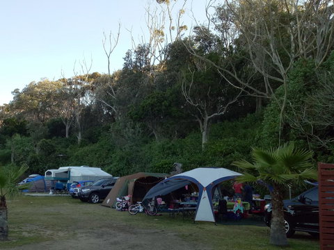 Blue Lagoon Beach Resort - Dalby Accommodation 19