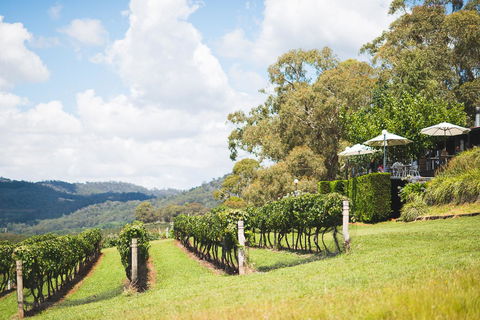 Borrodell Vineyard - Dalby Accommodation 12