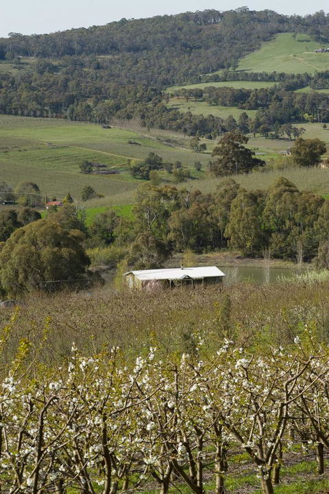 Borrodell Vineyard - Dalby Accommodation 30