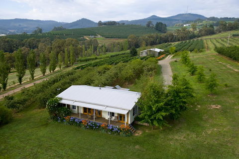 Borrodell Vineyard - Dalby Accommodation 2