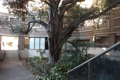 Fiori Apartments - Dalby Accommodation 32