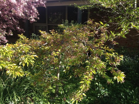 Warriwillah - Millthorpe's Country Motel - Dalby Accommodation 6