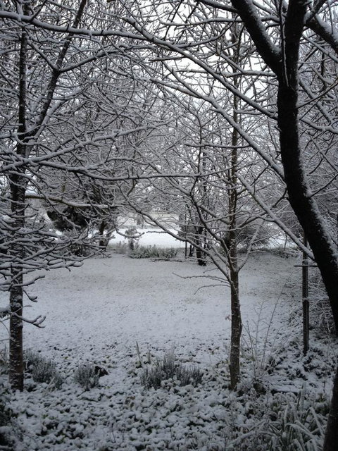 Warriwillah - Millthorpe's Country Motel - Dalby Accommodation 17