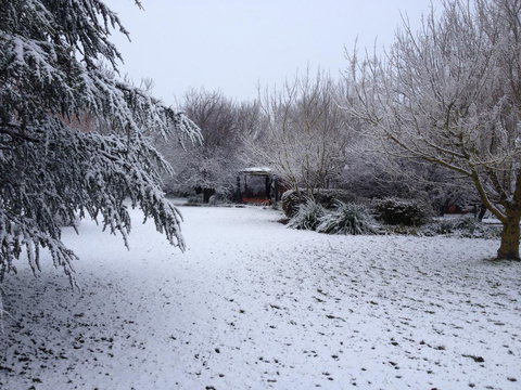 Warriwillah - Millthorpe's Country Motel - Dalby Accommodation 12