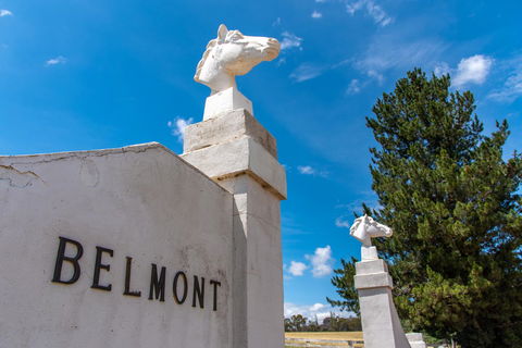 Belmont - Dalby Accommodation 4