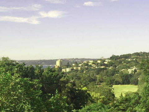 Luxury House In Bondi Junction - Dalby Accommodation 15