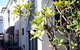 Avoca Randwick By Sydney Lodges - thumb 34