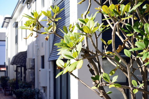 Avoca Randwick By Sydney Lodges - Dalby Accommodation 34