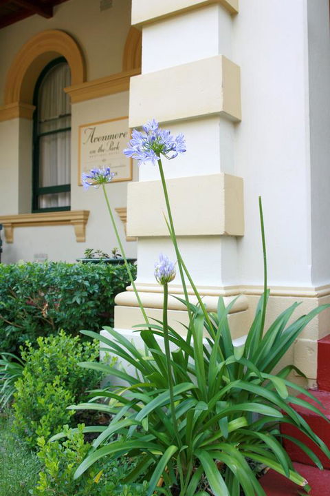 Avonmore On The Park Boutique Hotel - Dalby Accommodation 15
