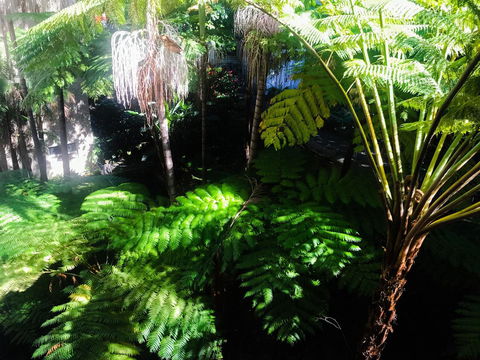 Woollahra Gem, Spectacular Views And Garden Paradise - Dalby Accommodation 34