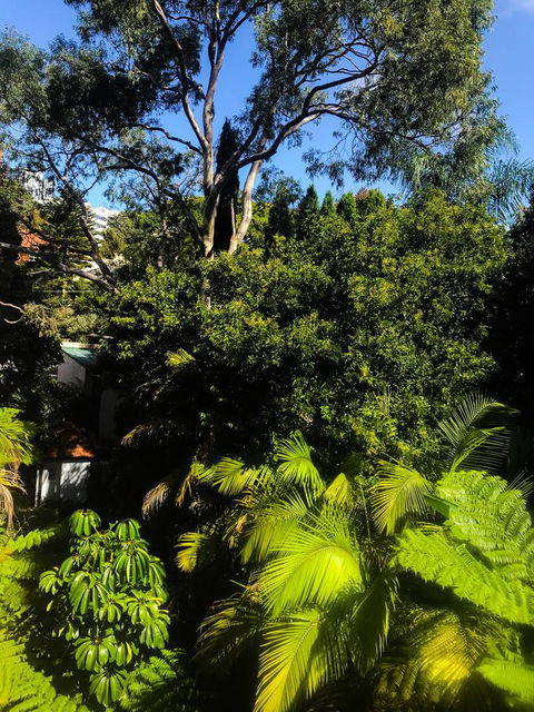 Woollahra Gem, Spectacular Views And Garden Paradise - Dalby Accommodation 31