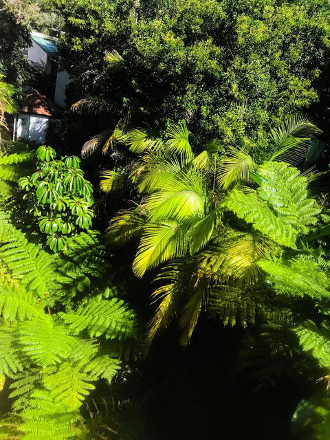 Woollahra Gem, Spectacular Views And Garden Paradise - Dalby Accommodation 29