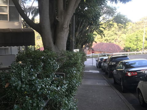 Woollahra Gem, Spectacular Views And Garden Paradise - Dalby Accommodation 1