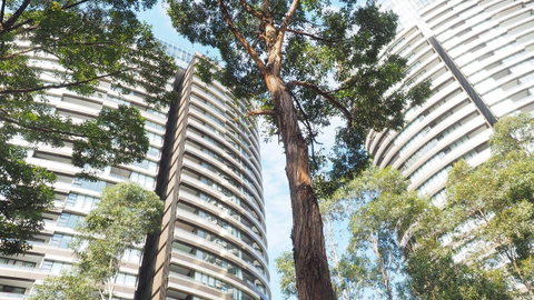SkyGarden Sydney Olympic Park 3 & 4 Bedroom City View - Dalby Accommodation 33