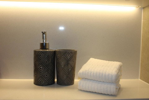 Stunning Views Sydney Olympic Park - Dalby Accommodation 24