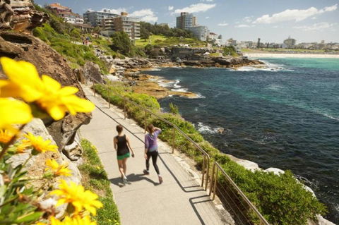 BONDI BEACH PRIME 1 Bedroom + Sunroom - Dalby Accommodation 16