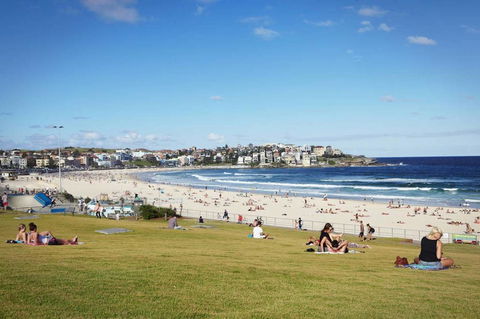 BONDI BEACH PRIME 1 Bedroom + Sunroom - Dalby Accommodation 11