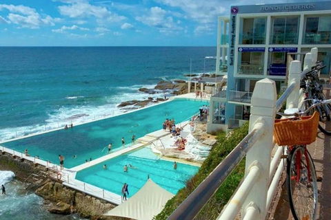 BONDI BEACH PRIME 1 Bedroom + Sunroom - Dalby Accommodation 7