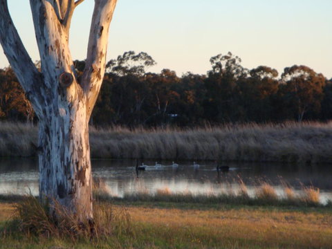 Adina Vineyard - Dalby Accommodation 10