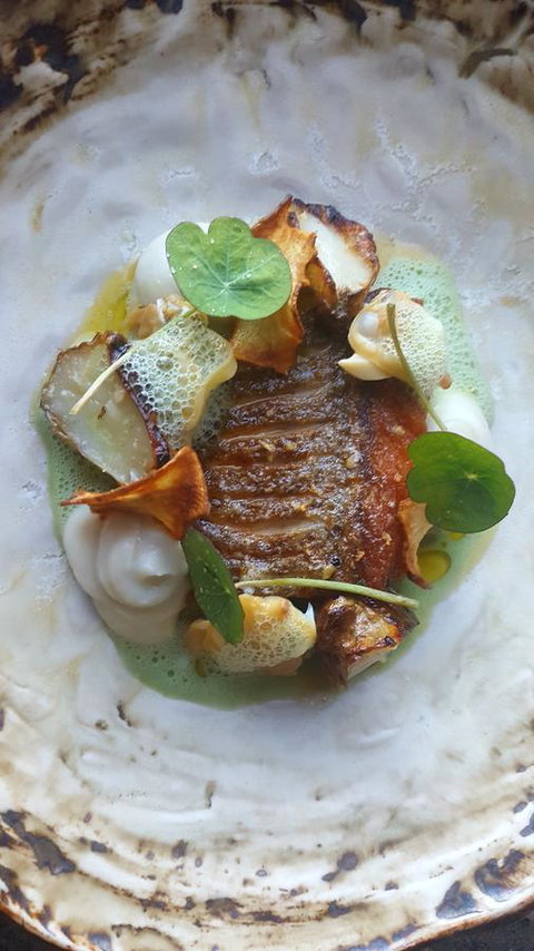 Adina Vineyard - Dalby Accommodation 3