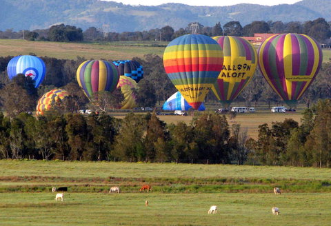 Adina Vineyard - Dalby Accommodation 9