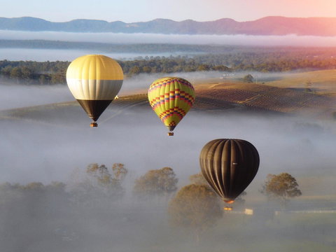 Adina Vineyard - Dalby Accommodation 21