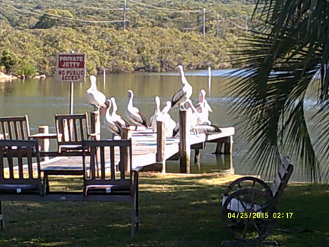 Pelican H2O One & Two Bedroom Apartments - Dalby Accommodation 9