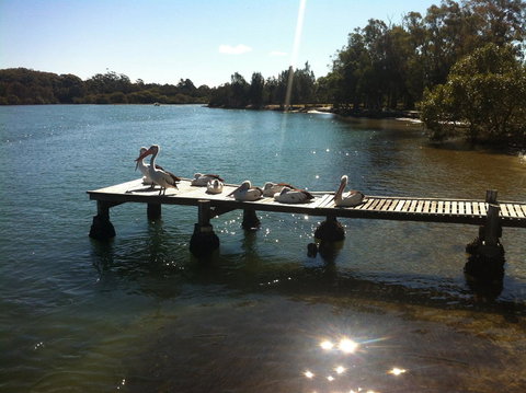 Pelican H2O One & Two Bedroom Apartments - Dalby Accommodation 5