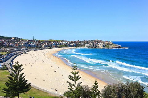 Right On Bondi - Dalby Accommodation 13